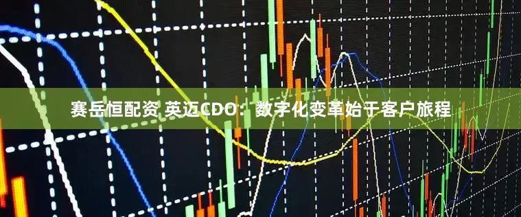 赛岳恒配资 英迈CDO：数字化变革始于客户旅程