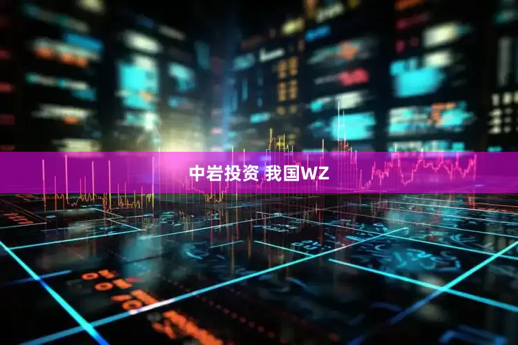 中岩投资 我国WZ