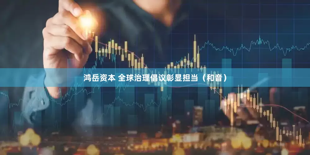 鸿岳资本 全球治理倡议彰显担当（和音）