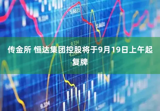 传金所 恒达集团控股将于9月19日上午起复牌